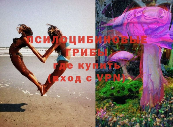 МДПВ Зеленокумск