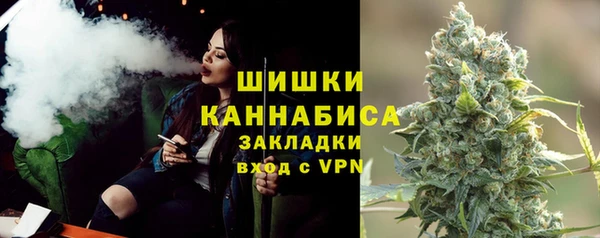 стаф Зерноград