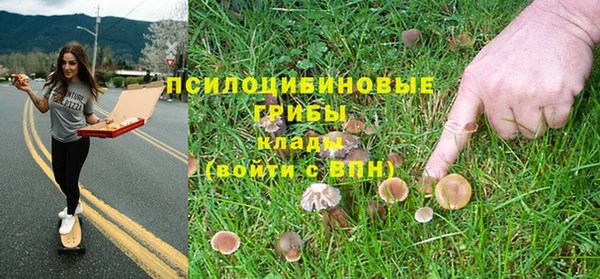 стаф Зерноград