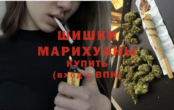 ешки Иннополис