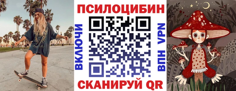 Галлюциногенные грибы Psilocybe  Купить закладки  Райчихинск 